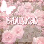 BANI$HED
