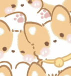 ~Le Corgi Carine di Gea!~