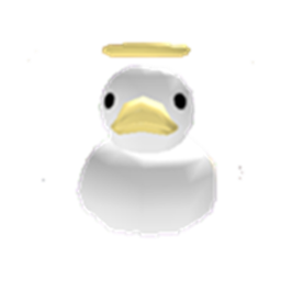 Duck meeting