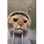 Uhdrfiuhiurfhiurgh