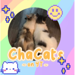 ChaCatsclub