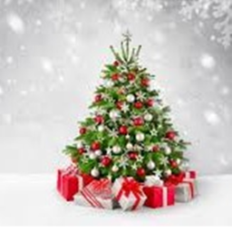 Happy Christmas!