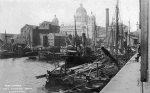 • Liverpool Shipping Line •