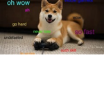 DOGE Party!