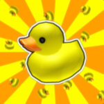 Pirate Ducks