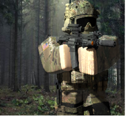 BD Army
