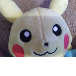 Pupoys
