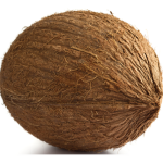 the coconutt crew
