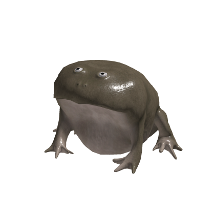 Funny Frog Suit