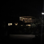 𝙛𝙚𝙚𝙡𝙞𝙣𝙜𝙨 