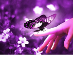 For All My Bootiful Butterfly's~! <3