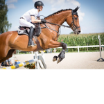 Horse Riders group :)