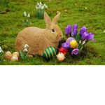 The easter bunny group🐇🍬