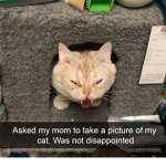 giveaway little