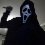 Playz Roblox.