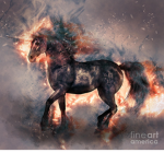 Everyday A Unicorn
