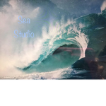 Sea Studio!