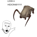 Headcrab Infection (BETA) (SMALL UPDATE)