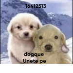 cualquiera1232321