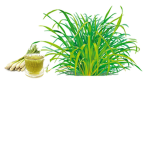 The Grass Groupp