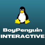 BoyPenguin Interactive