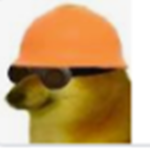 Sly dog squad