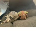 Moose monsters