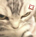 v3xy