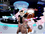 Cookie/Tanako