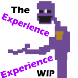 The Experience Experience