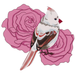 White Cardinal Apparel