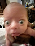 MY SON SO DUMD RAP FANS
