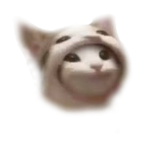 POP CATS CULT