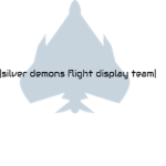 |silver demon flight display team|