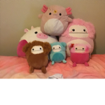 |~squishmallow squad~|