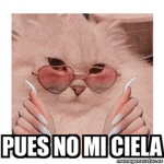 Pues.no.mi.ciela