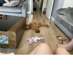 Luna and carys