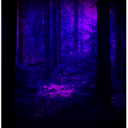 Midnight