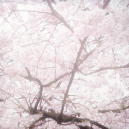 ✧˖°