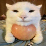Su Ki