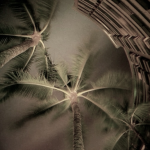 ʚɞ unknown cece ʚɞ
