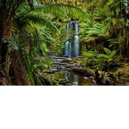 Cool Biomes