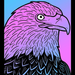 airhawks clan