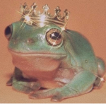 FroggiNation