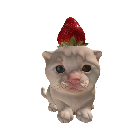 Strawberry Cat 🍓