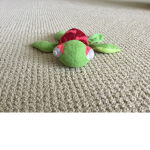 Team great turtles!