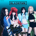 BLINK Nation