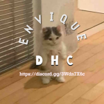 EN VI QUE D H C