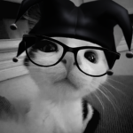 mia_catmiau and friends
