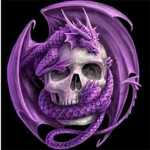 Purple dragons gang
